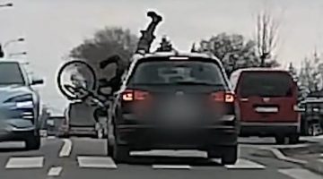 screenshot 2026 02 24 at 17 54 12