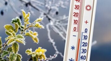 thermometer-background-frost-covered-tree-branches-shows-temperature-minus-10-degrees_199743-8533