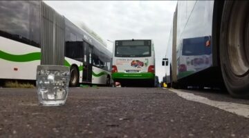 tn4-busz