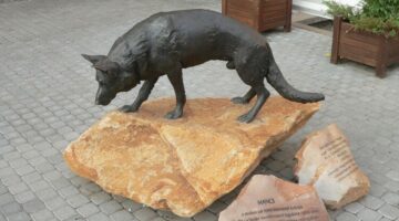 tn4-kepernyofoto2021-10-24-15_05.595