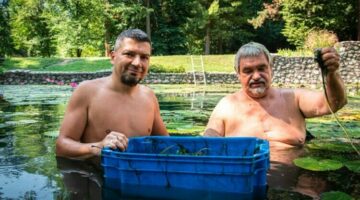 tn4-vargalaszloto2021-07-26_115531