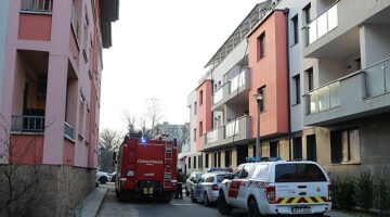 tuz_lakasteuz_dayka_230303_ja-3