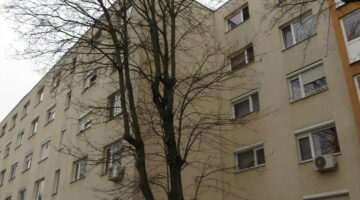 unnamed (2)