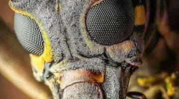 unnamed - 2023-11-10T082700.404