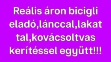 unnamed - 2024-04-28T073937.968