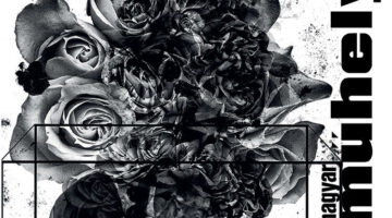 unnamed - 2024-05-02T055036.916