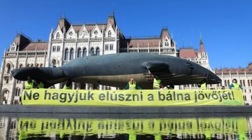 unnamed - 2025-05-14T201638.517