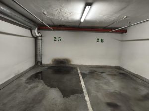 unnamed