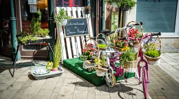 viragos belvaros dk.jpg