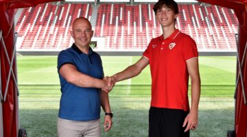 zsemlyebalazs_profi-szerzodes_profi_01